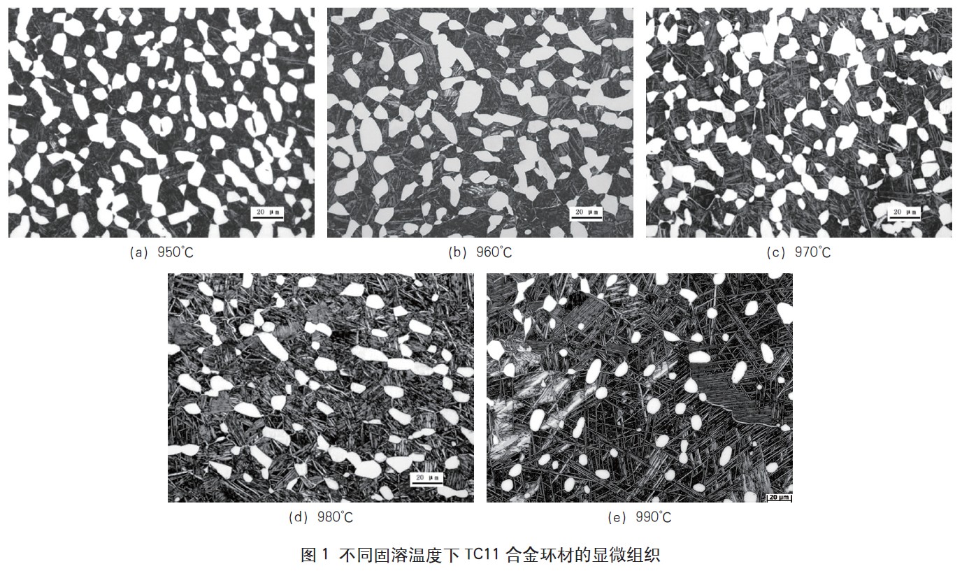 1665284315588375.jpg t1.jpg