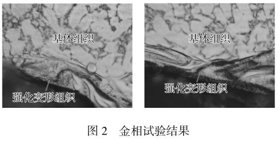 1694567804807399.jpg t2.jpg