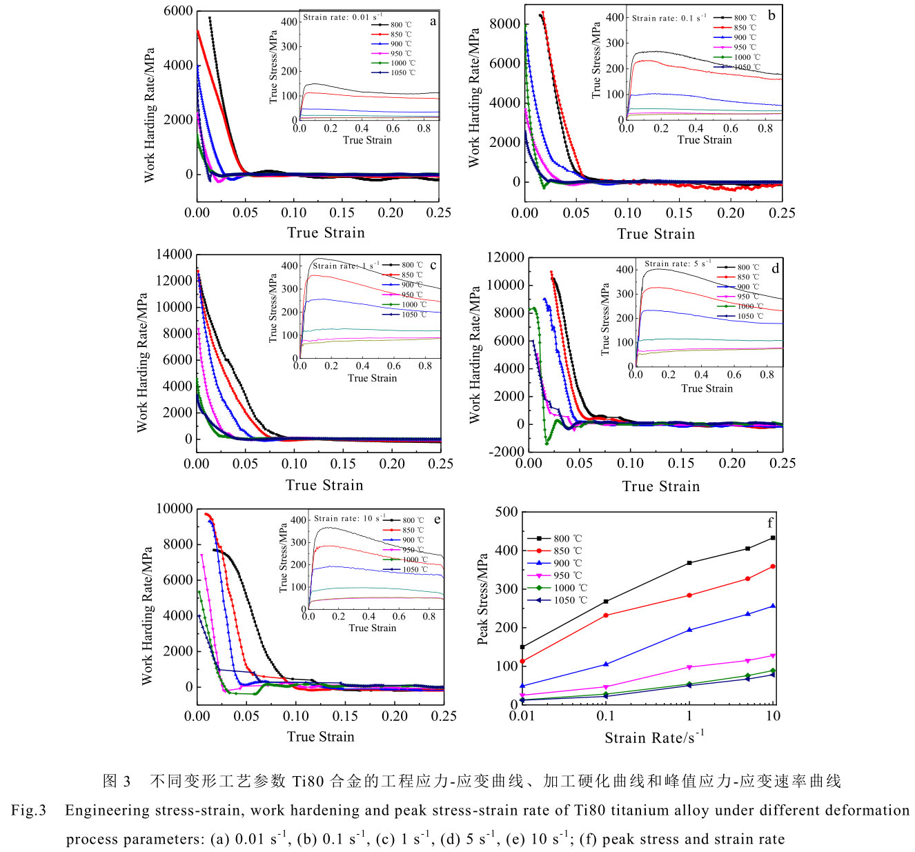 1708442270929392.jpg t3.jpg