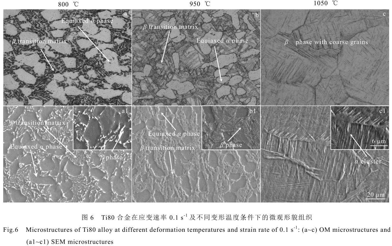 1708442299182982.jpg t6.jpg