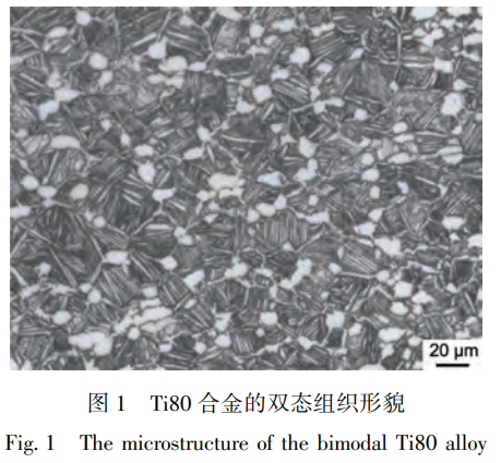 1752843859213138.png 截圖20250718205848.png