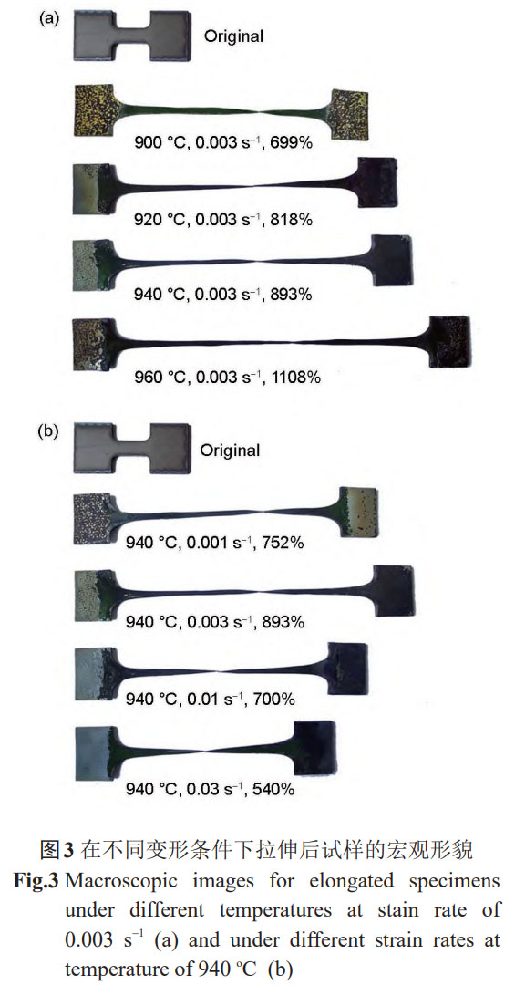 1761010518312275.jpg t3.jpg