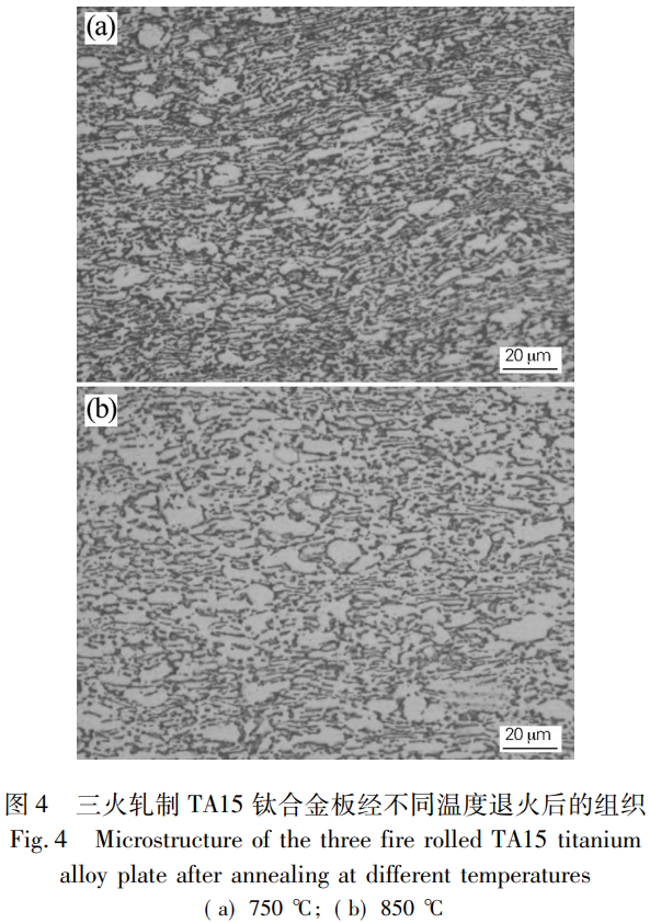 1765165065922576.png 截圖20251208113508.png